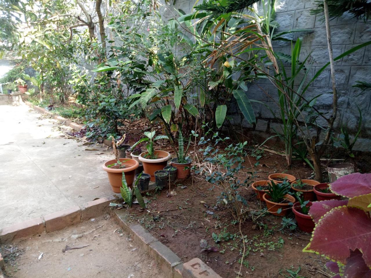 Coorg Villas ماديكيري المظهر الخارجي الصورة